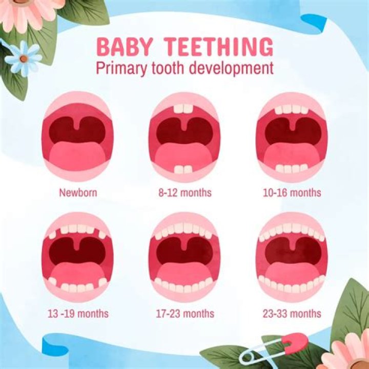 Are back teeth difficult to extract?