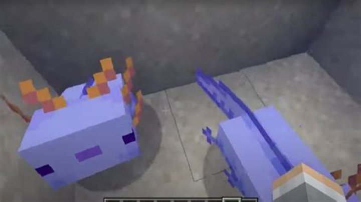 Are blue Axolotls in Bedrock edition?