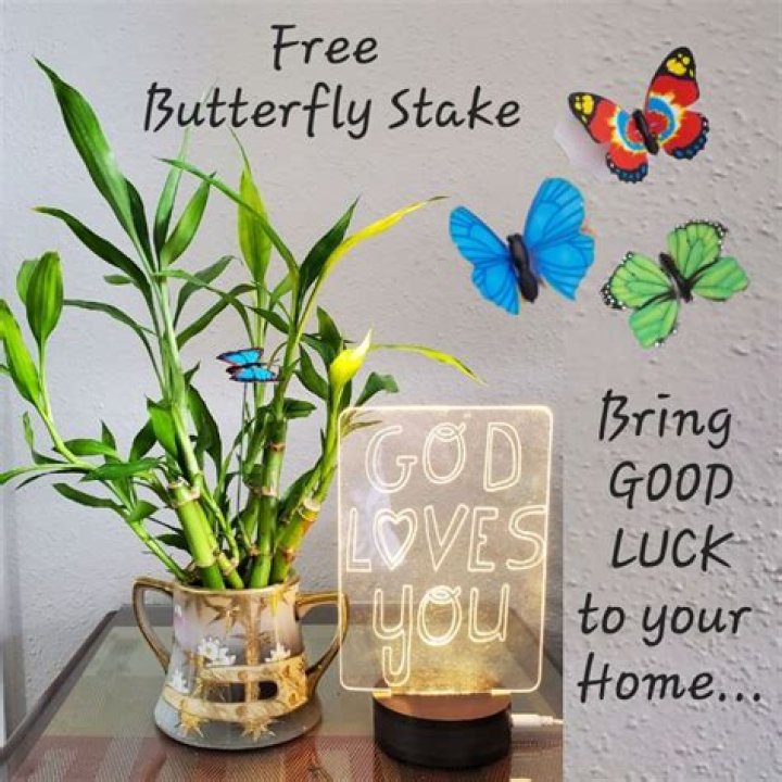 Are blue butterflies good luck?