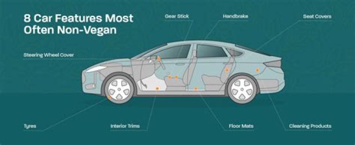 Are car tires vegan?