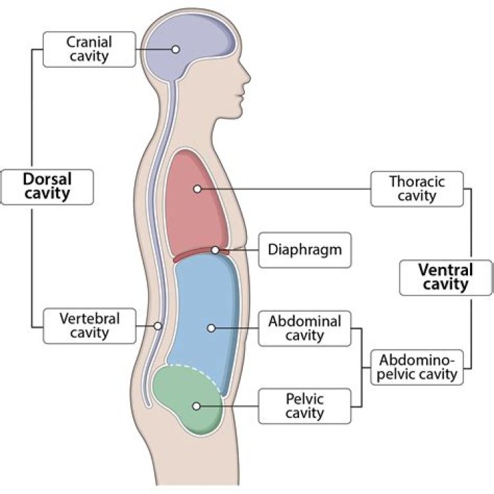 Are cavities fatal?
