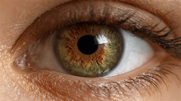 Are green eyes dominant over brown?