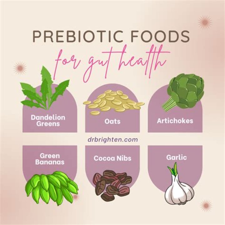 Are oats prebiotic?