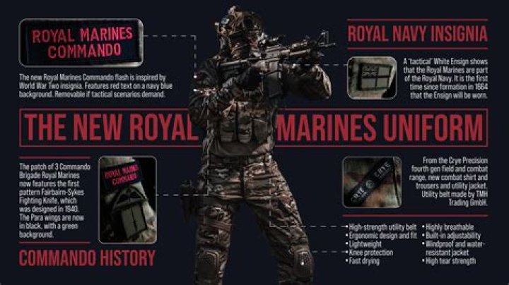 Are Royal Marine Commandos Army or Navy?