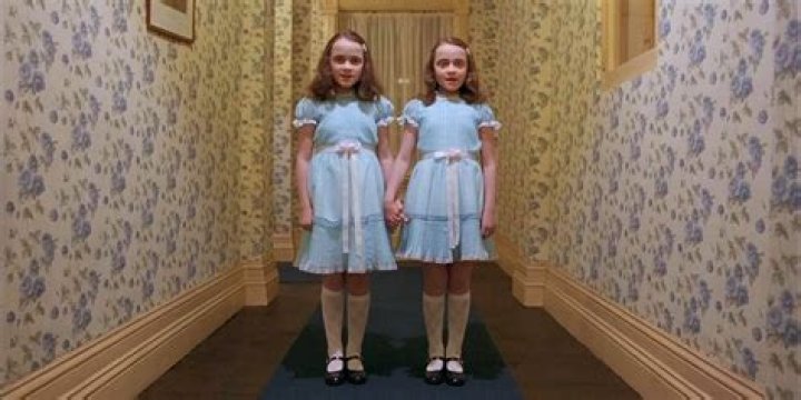 Are the Grady twins in the book?