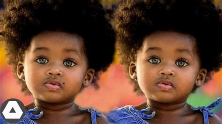 Are twins rare?