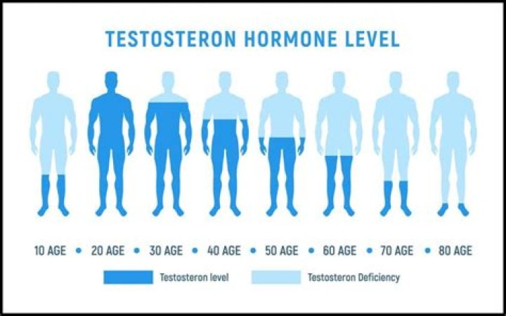 At what age is testosterone the highest?