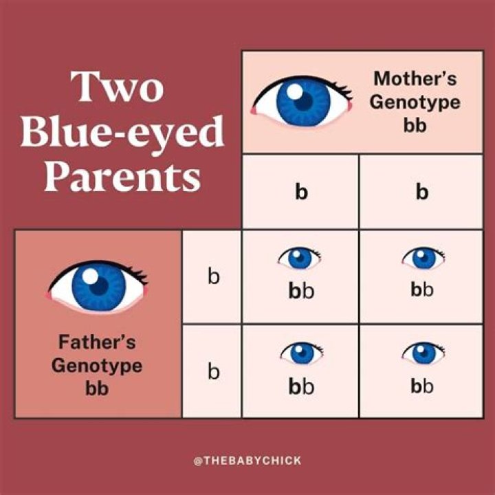 Can 2 blue eyed parents have a green eyed child?