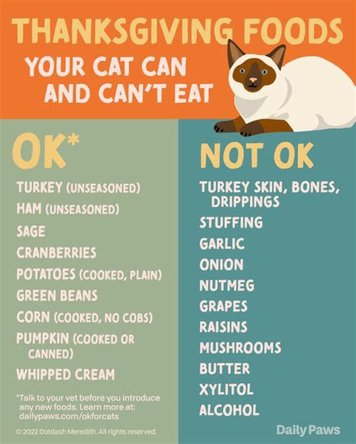 Can a cat's purr heal you?