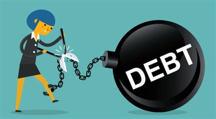 Can a company be debt free?