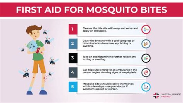 Can a mosquito live after biting you?