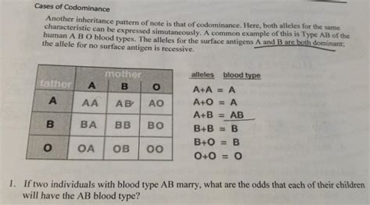Can As marry AC?