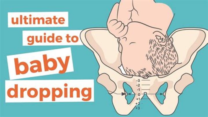Can baby move up after dropping?