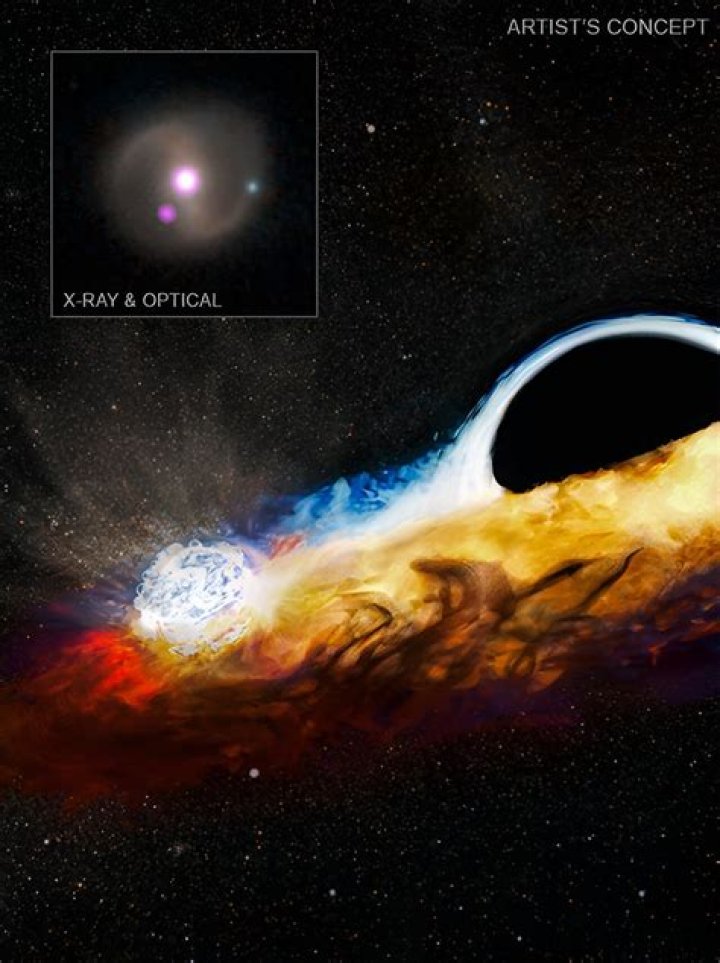 Can black holes be destroyed?