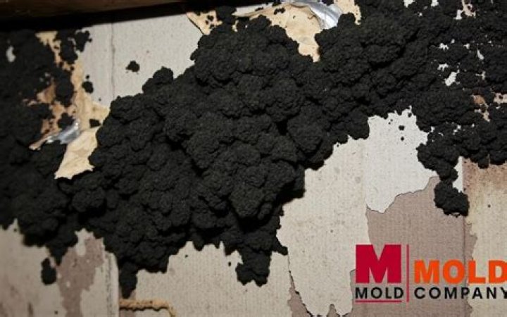 Can black mold hidden behind walls?