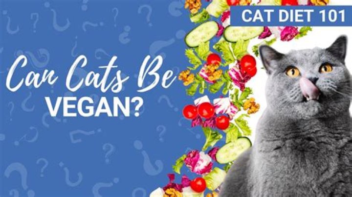 Can cats be vegan?