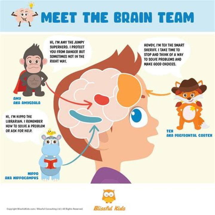 Can centipede enter your brain?