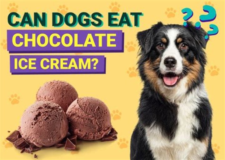 Can dogs eat chocolate ice cream?