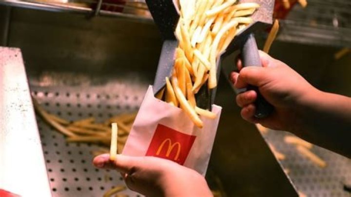 Can dogs eat McDonalds fries?