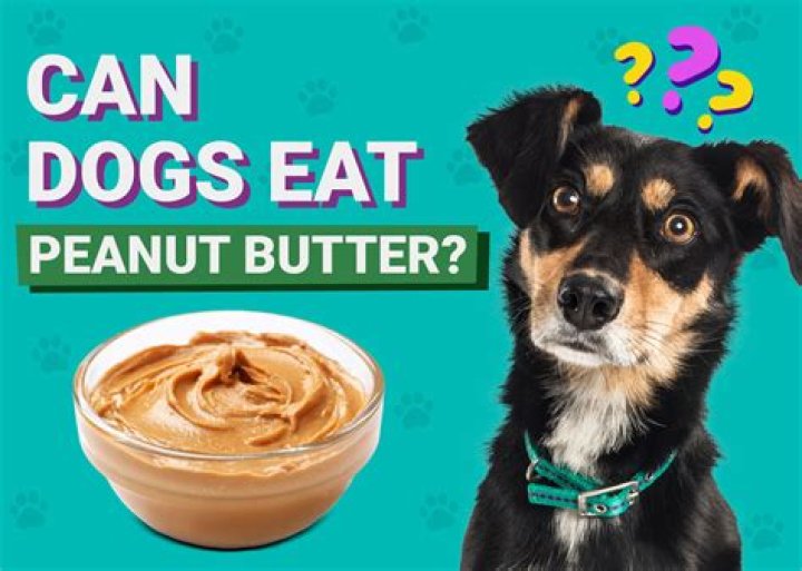 Can dogs eat peanuts?