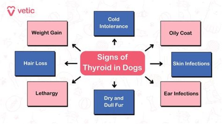 Can hypothyroidism go undetected in blood tests?