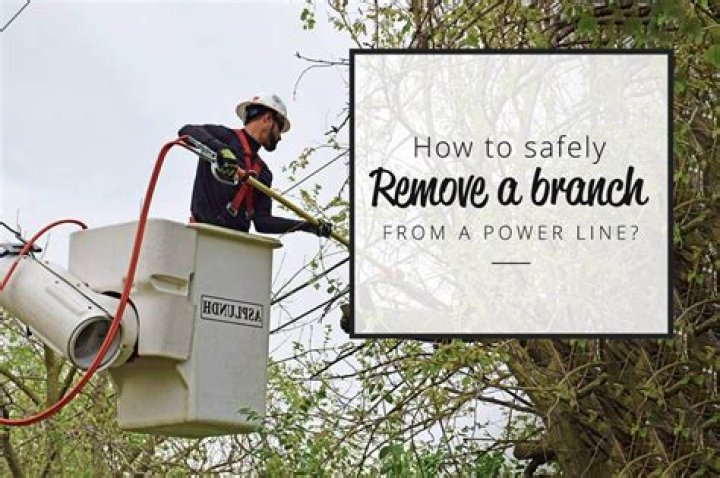 Can I cut a tree limb touching a power line?