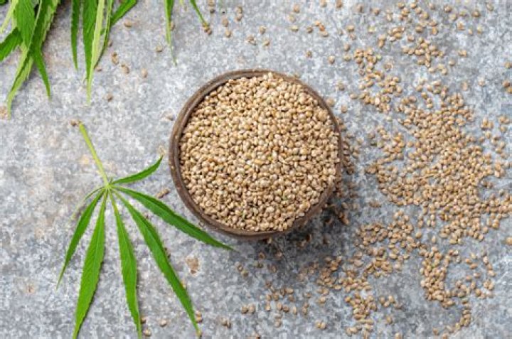 Can I eat hemp seeds in the military?