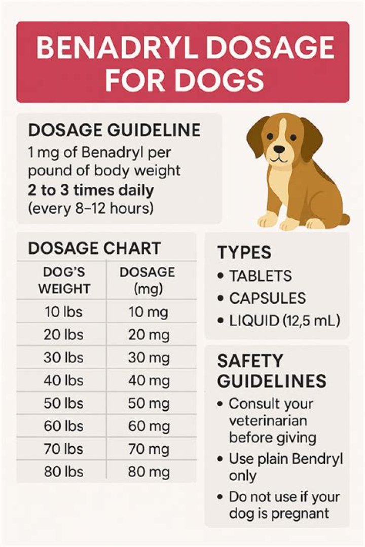 Can I give my dog Benadryl for flying?