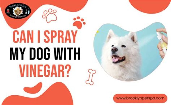 Can I put ice in my dogs water?