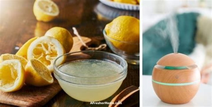 Can I put lemon juice in my humidifier?
