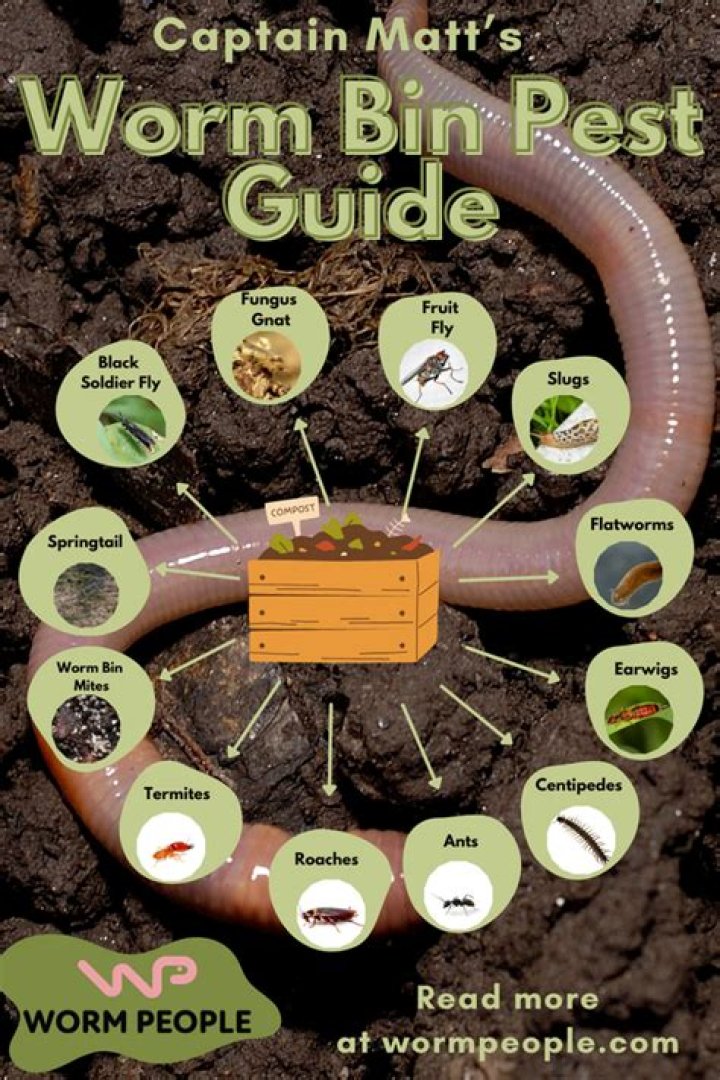 Can I put potato peel in my worm farm?