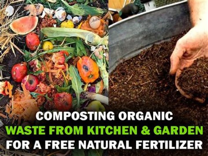 Can insects be used as fertilizer?