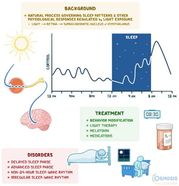 Can lack of sleep decrease serotonin levels?