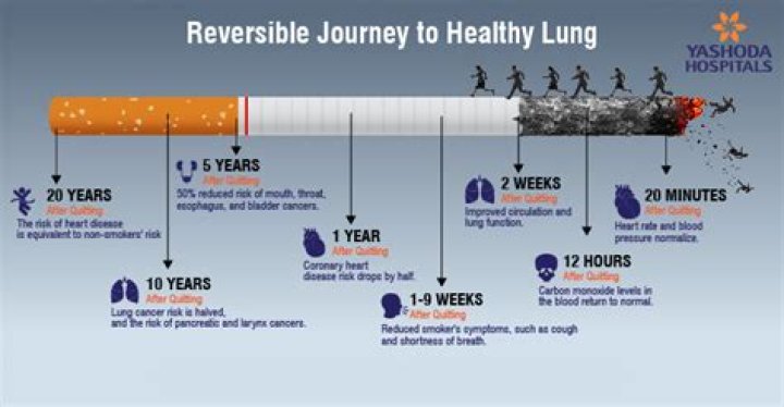 Can lungs heal after 40 years of smoking?