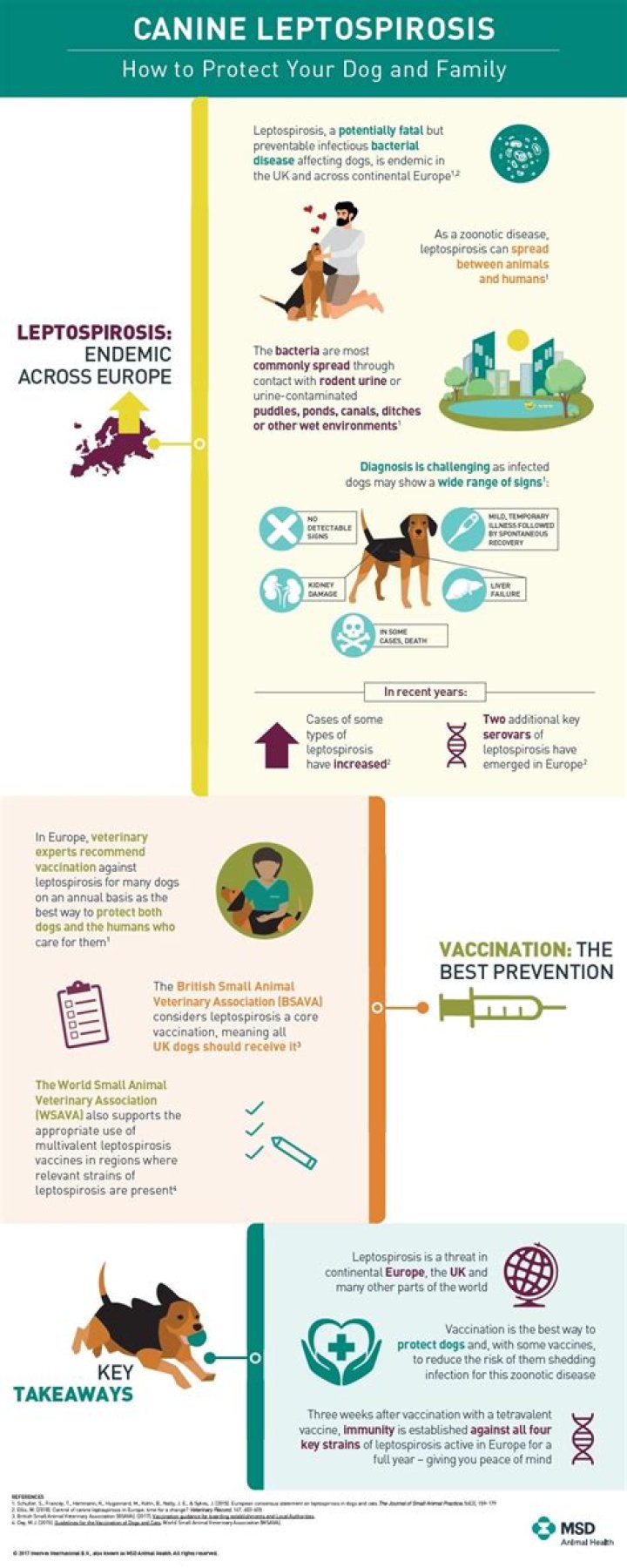 Can my dog survive leptospirosis?
