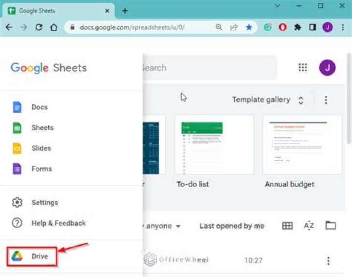 Can non Gmail users access Google Sheets?