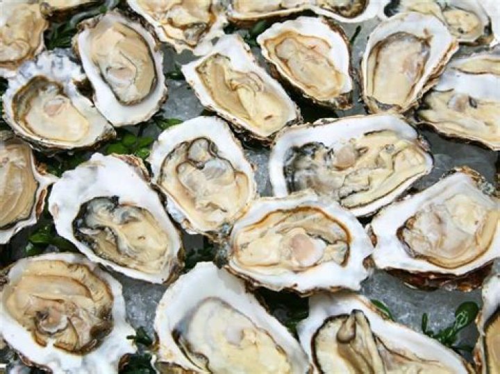 Can oysters move?