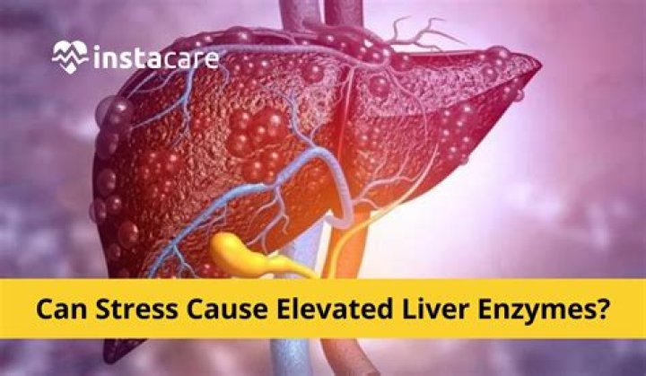 Can stress raise liver enzymes?
