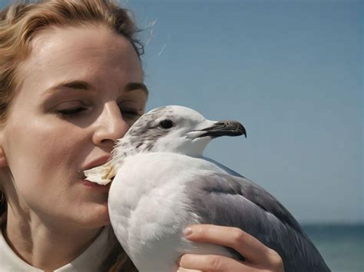 Can you eat raw seagull?