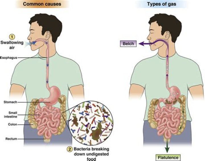 Can you feel gas bubbles move in your stomach?