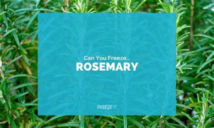 Can you freeze rosemary?