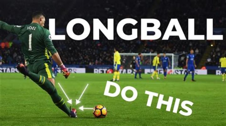 Can you kick a dog in the balls?
