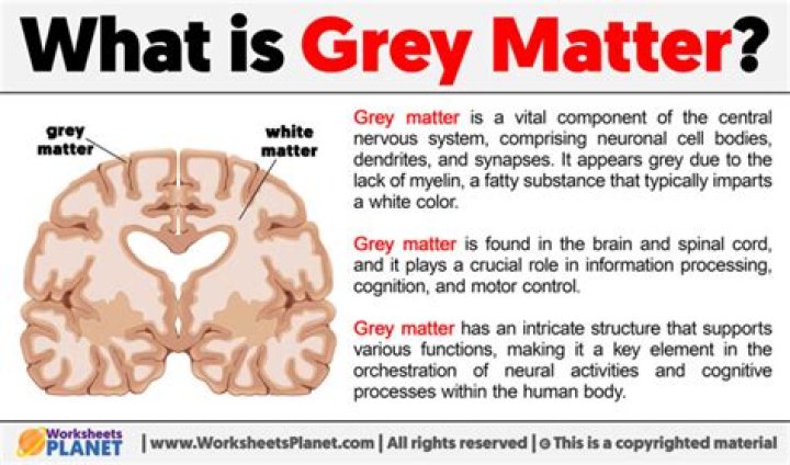Can you lose grey matter?