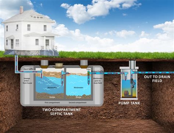 Can you pour vinegar down the drain if you have a septic tank?
