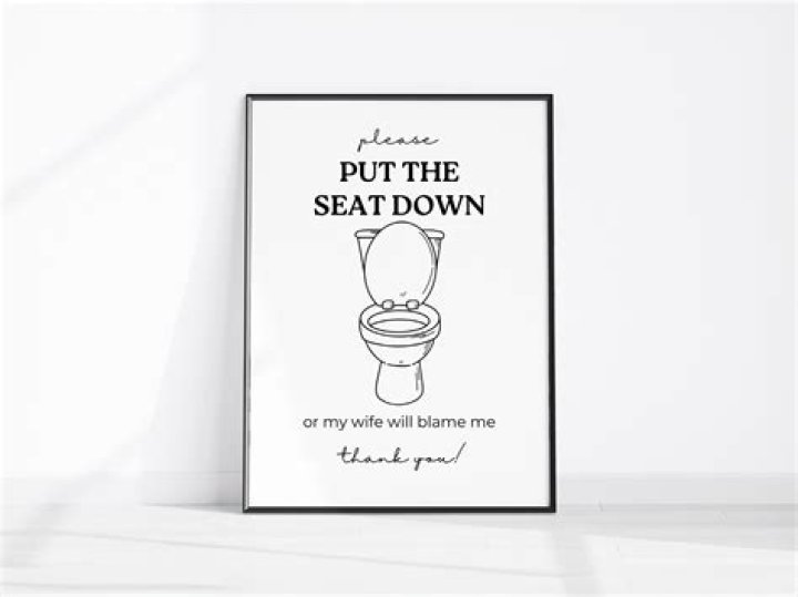 Can you put borax in the toilet?