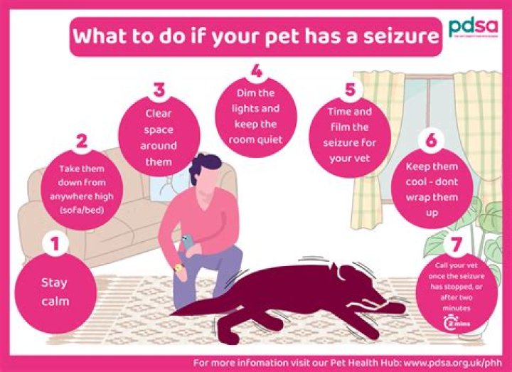 Can you remember anything after a seizure?
