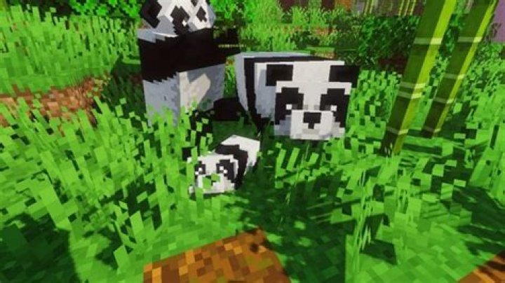 Can you ride a boat with a panda in Minecraft?