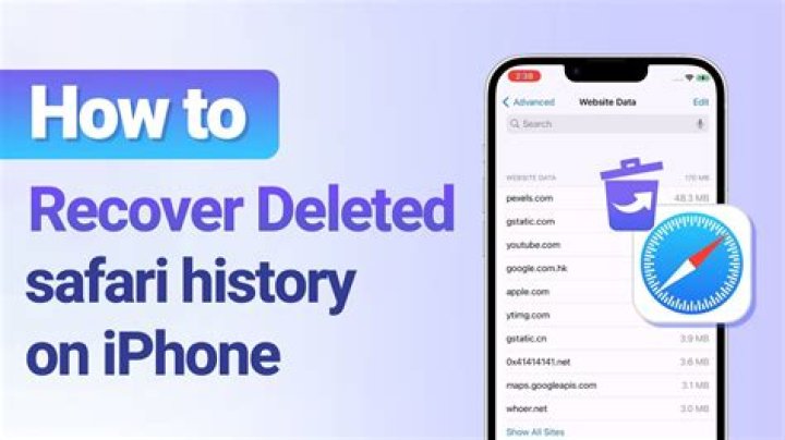 Can you see Safari history after deleted?