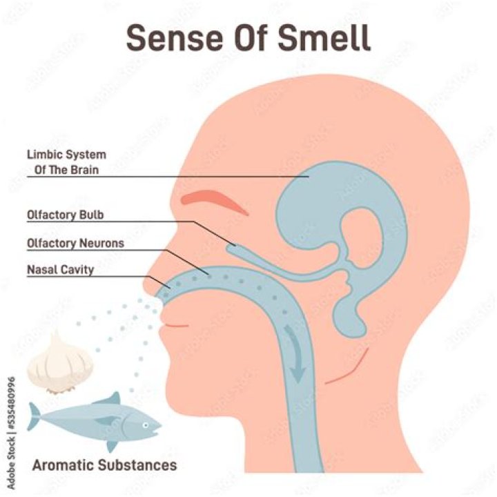 Can you smell or taste botulism?