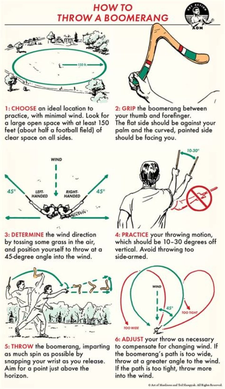 Can you throw Boomerang BotW?